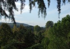 4 - Dintorni|Bed & Breakfast Antico Fienile